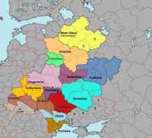 Formarea statelor slavice: termeni, condiții și motive. Primele state slave