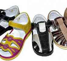 Pantofi antelope. O grilă dimensională de încălțăminte pentru copii.