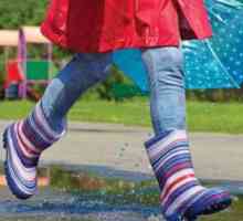 Pantofi ai companiei `Demar`: cizme de cauciuc pentru vreme ploioasă