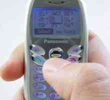 Prezentare generală a unui telefon miniatural Panasonic GD55