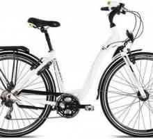 Bicicleta revizuire Orbea