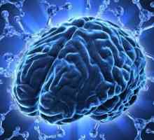 Schimbări focale în materia creierului de natură discirculatoare: simptome, diagnostic și tratament