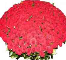 Un buchet imens de trandafiri - un cadou elegant pentru cei dragi!