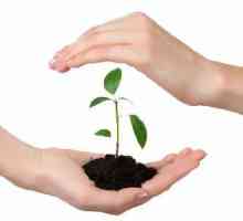 Protecția plantelor: unele aspecte și fapte