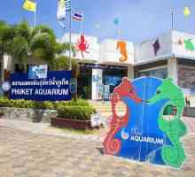 Oceanarium în Phuket: fotografie, adresa, recenzii, cum se ajunge