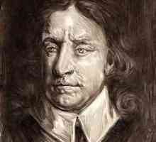 Oliver Cromwell: biografia comandantului. Rezultatele istorice ale protectoratului lui Cromwell