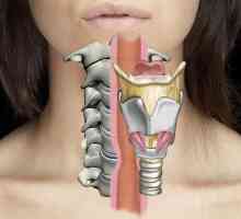 Operație pe esofag: diagnostice, perioadă postoperatorie, dietă