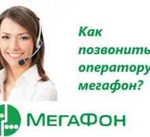 Operator "Megafon": cum să sunați sau să contactați compania