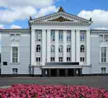 Opera House (Perm): istorie, repertoriu, trupa, regizor artistic