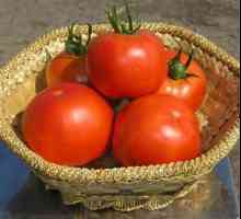 Descrierea și caracteristicile culturii de tomate Bagheera