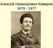 Descrierea picturii Komarov `Flood`, o scurtă biografie a artistului