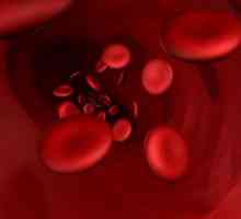 Determinarea tipului de sânge al unui copil de sângele părinților - de ce este necesar?