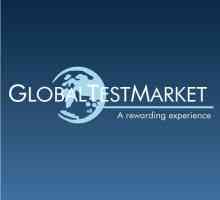 Chestionar "Piata globala de testare": recenzii si optiuni pentru primirea banilor