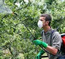 Pulverizarea pomilor fructiferi în toamnă va proteja viitoarea recoltă
