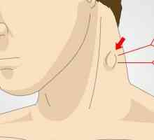 Ganglionii limfatici în gât au crescut: posibile cauze, simptome și caracteristici de tratament