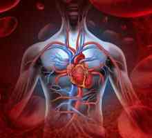 Tumorile cardiace: clasificare, simptome, tratament