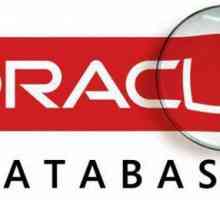 Oracle - ce este? Oracle Database