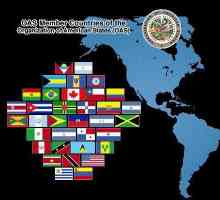 Organizarea Statelor Americane (OAS)