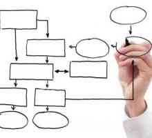 Structura organizațională a întreprinderii este un exemplu. Caracteristicile structurii…