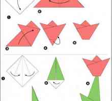 Origami pentru începători: diagrame, instrucțiuni detaliate