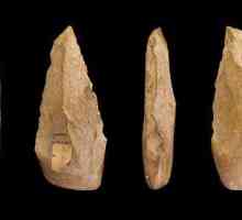 Орудие труда каменного века: фото с названиями