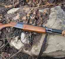 Arma pentru vânătoare: IZh-94. Fotografii, caracteristici