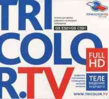 Eroarea "0" pe "Tricolor TV" - ce să faceți, cum să remediați acest lucru?
