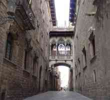 Privind în jurul cartierului gotic din Barcelona