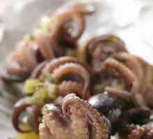 Octopus: rețete și caracteristici de gătit