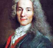 Ideea principală a lui Voltaire și opiniile sale filosofice și politice