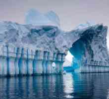 Atracții principale ale Antarcticii