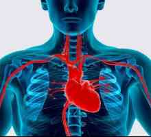 Principalii factori de risc pentru bolile cardiovasculare: o descriere. Prevenirea bolilor inimii…