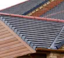 Elemente de bază și suplimentare ale acoperișului