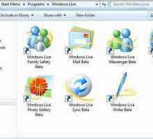 Principalele componente ale Windows Live - ce este acest program? Pot să o șterg?