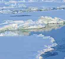Principalele diferențe dintre Arctic și Antarctica: descrierea și caracteristicile