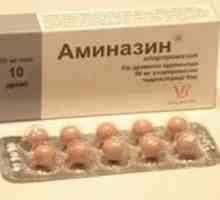 Principalele recomandări din instrucțiunile privind utilizarea "Aminazinei"