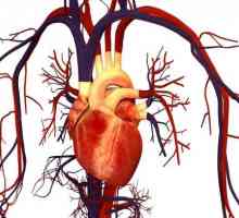 Insuficiență vasculară acută: cauze, simptome și reguli de prim ajutor
