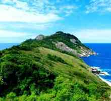 Snake Island în Brazilia: cum să vizitați, ce să vedeți