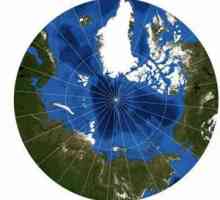 Dezvoltarea arcticului de către Rusia: istorie. Strategia de dezvoltare a Arcticii