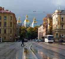De la locul vacant până în cartierul cultural: Piața Teatrului din Sankt Petersburg