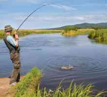Rapoarte privind pescuitul (regiunea Chelyabinsk): diversitatea speciilor și uneltele folosite