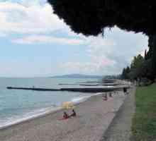 Odihnă în Tsandripsha, Abhazia. opinii