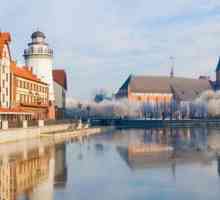 Restul în regiunea Kaliningrad: mare, plaje, hoteluri, pescuit