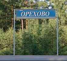 Restul în Orehovo (regiunea Leningrad)