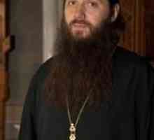 Părintele Artemy Vladimirov (Perspică): comentarii