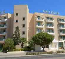 Hotel Artemis Hotel Apartments 3 * (Protaras, Cipru): prezentare, descriere, camere si recenzii