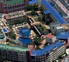 Hotel Best Jacaranda 4 * (Spania): poze si recenzii