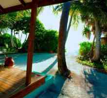 Canareef Resort Maldive 4 * (Maldive / Addu Atoll): prezentare generală, descriere, camere și…