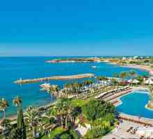 Hotel Coral Beach 5 * (Paphos, Cipru): descriere, fotografii, recenzii de turisti