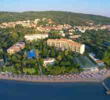 Hotel Delfinia Hotel 4 * (Corfu / Grecia): poze si recenzii
